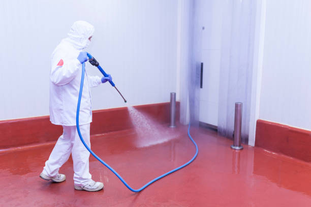 Best Sidewalk and Walkway Cleaning  in Walker Valley, NY